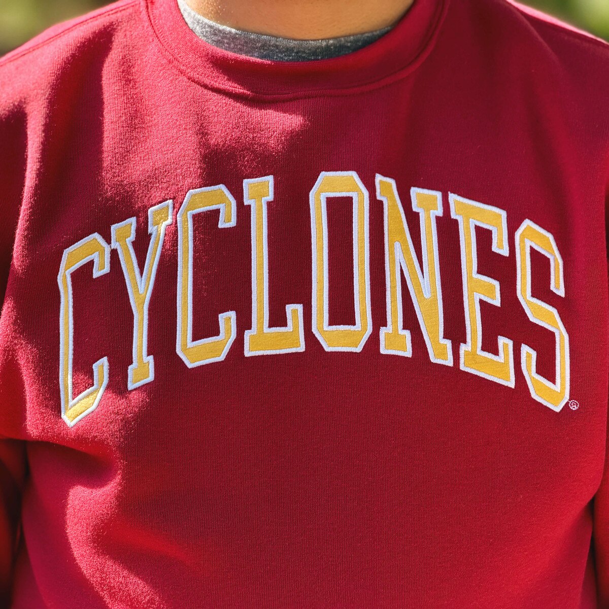 ZooZatz Cyclones Cardinal Crewneck